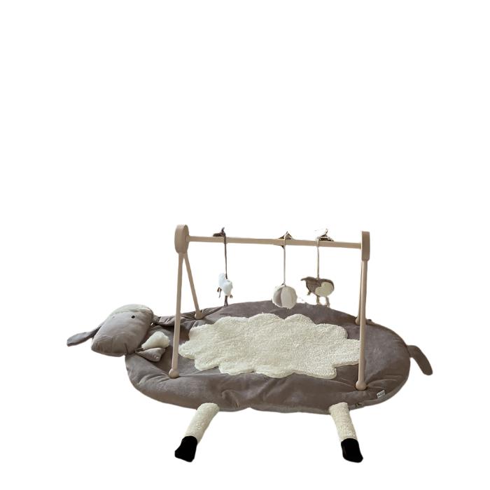 Speelmat incl. babygym
