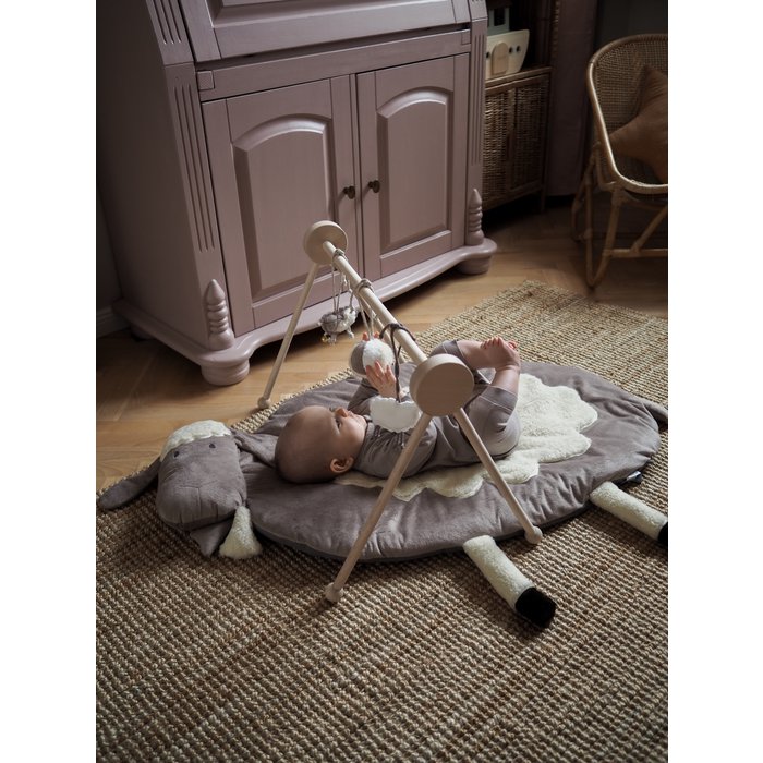 Speelmat incl. babygym