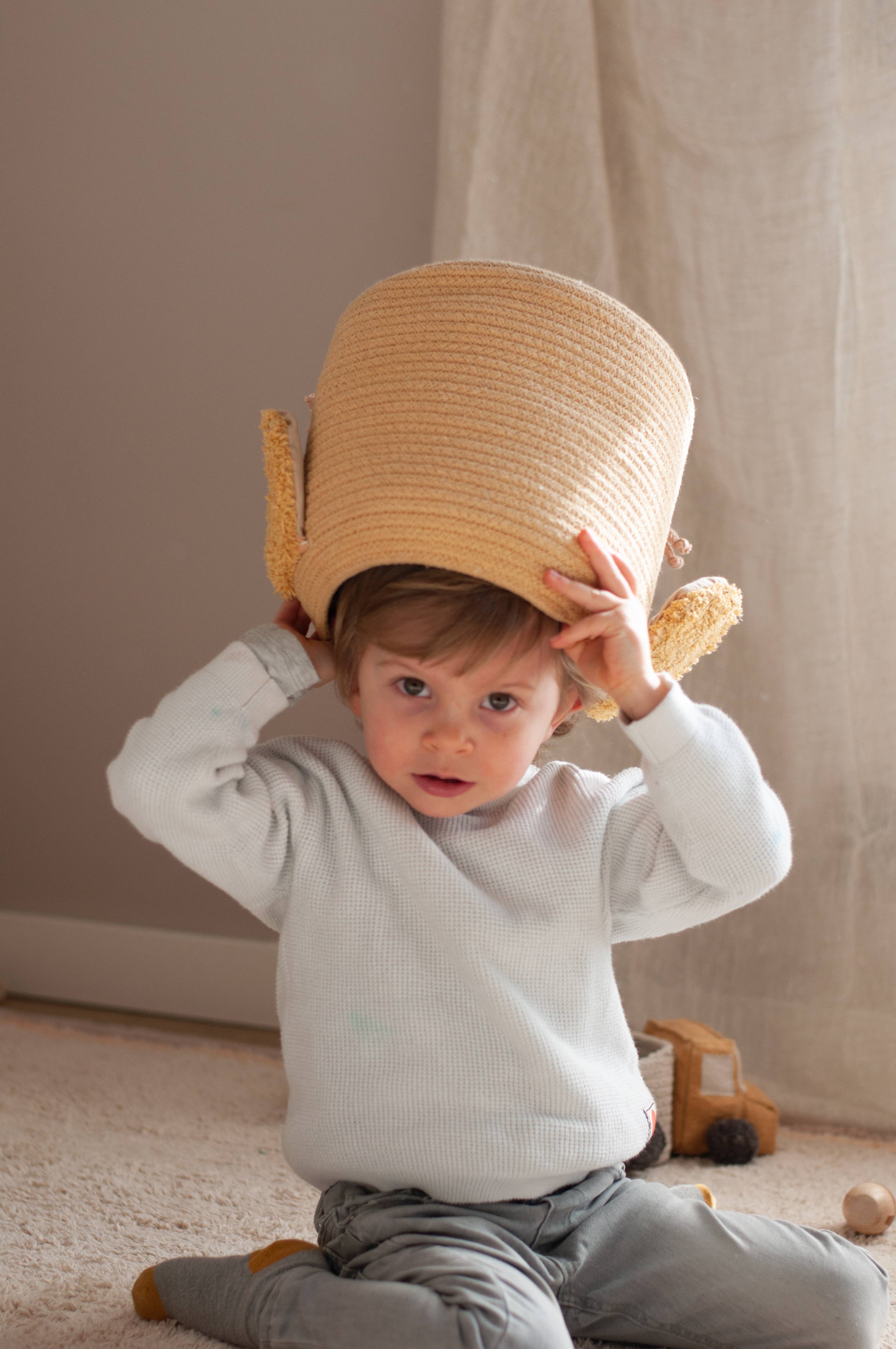 Basket Charlie The Chicken