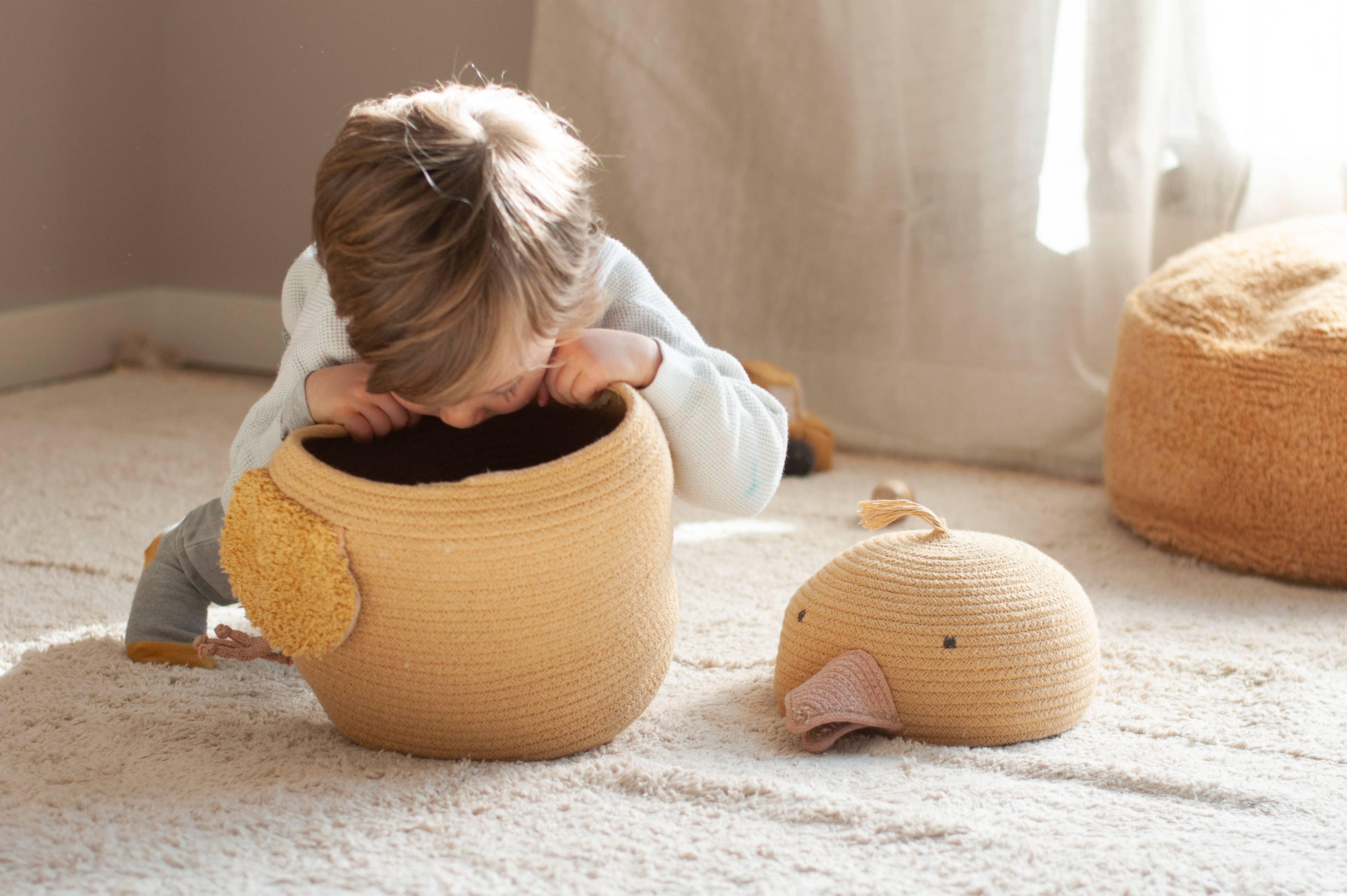 Basket Charlie The Chicken