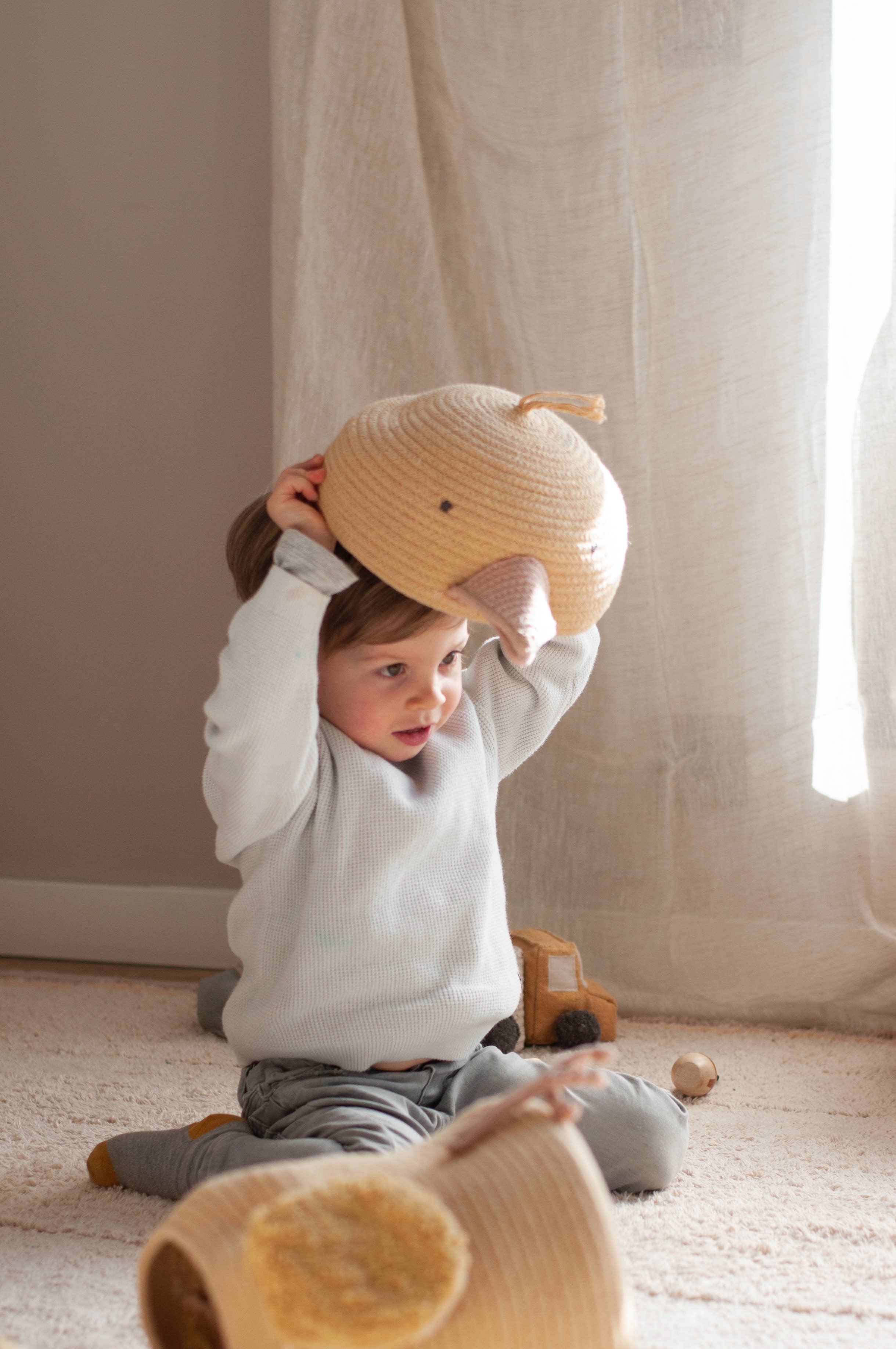 Basket Charlie The Chicken