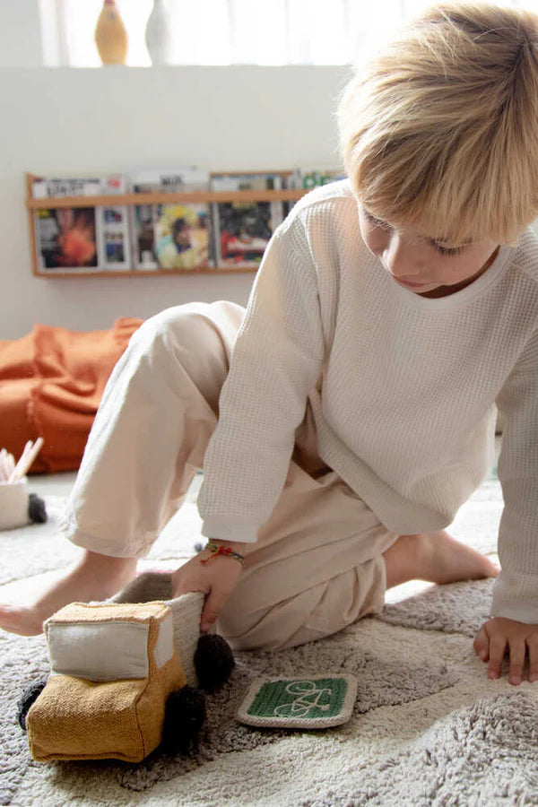 Set Of Mini Baskets Truck