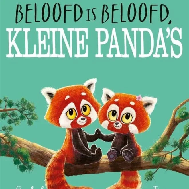 Boek - Beloofd is beloofd, kleine panda&