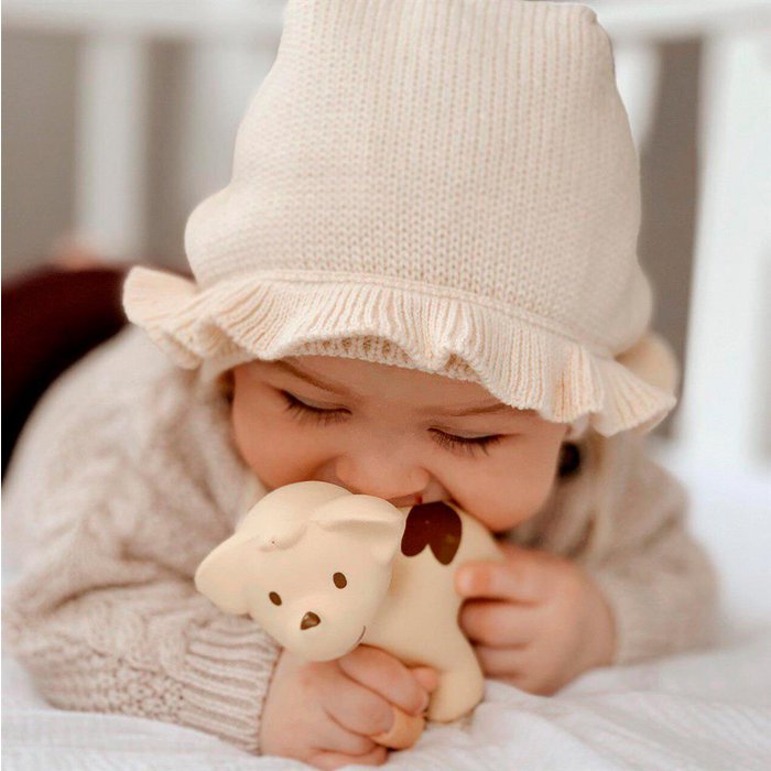 Bijt- & badspeeltje - Hond