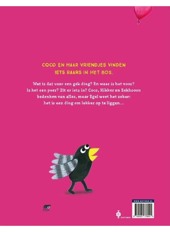 Boek - Coco en het gekke ding